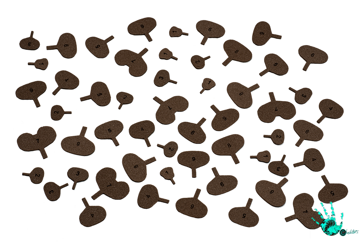 Hellgrammite Bodies